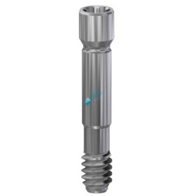 Vite in Titanio compatibile Neodent Grand Morse®