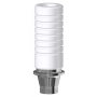 Offerte esclusive su Nobel Active™ & Nobel Replace® CC
