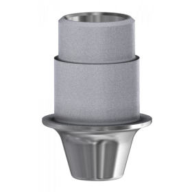 Ti Base NP compatibile Straumann® Bone Level®