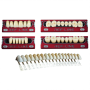Denti Ref-Line anteriori inferiori