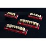 Denti Ref-line posteriore inferiore Polident, ora disponibili nelle librerie Exocad e 3Shape
