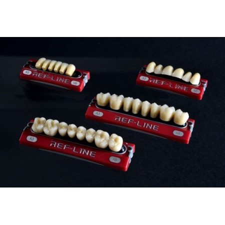 Denti Ref-line posteriore superiore Polident, ora disponibili nelle librerie Exocad e 3Shape