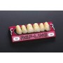 Denti Ref-Line anteriori Superiori, ora disponibili nelle librerie Exocad e 3Shape