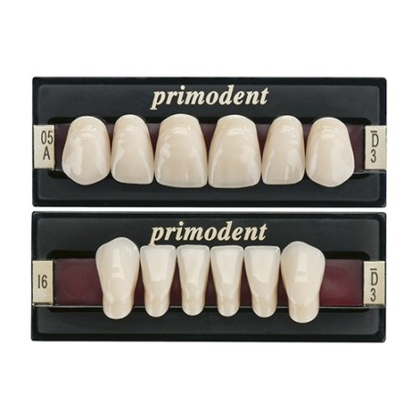 Denti Primodent - Anteriori Inferiori