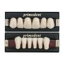 Denti Primodent - Anteriori Inferiori