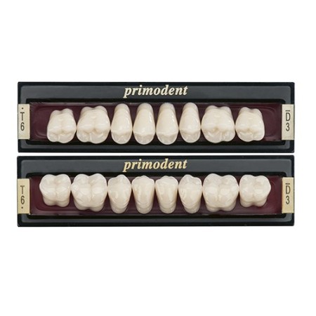Denti Primodent - Posteriori Inferiori