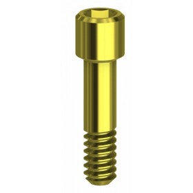 Vite Hex in TiN per Uniabutment 1,27 mm compatibile Astra Tech Osseospeed™