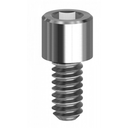 Vite Hex  in Titanio Per Uniabutment 1,27 mm compatibile Astra Tech Osseospeed™