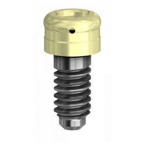DESSLoc® compatibile con Camlog®- Dess