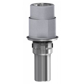 Ti Base 3.8 compatibile con Camlog®- Dess