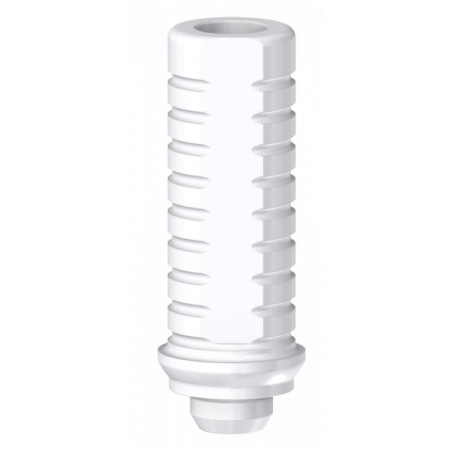 Calcinabile Round compatibile con Camlog®