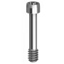 Vite torx per AngleBase compatibile con Camlog®- Dess