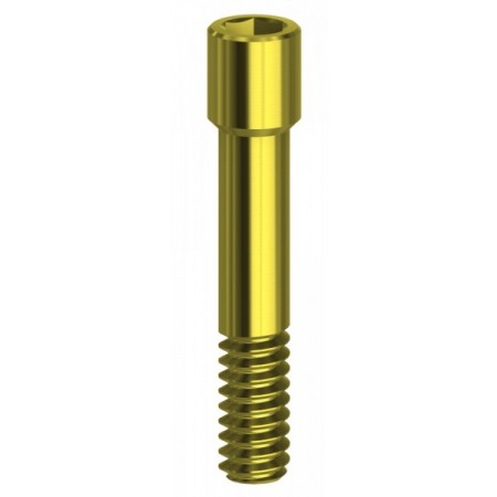 Vite Hex 1.27mm in TiN compatibile con Camlog® - Dess