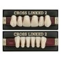 Denti Cross Linked2 anteriore inferiore Polident