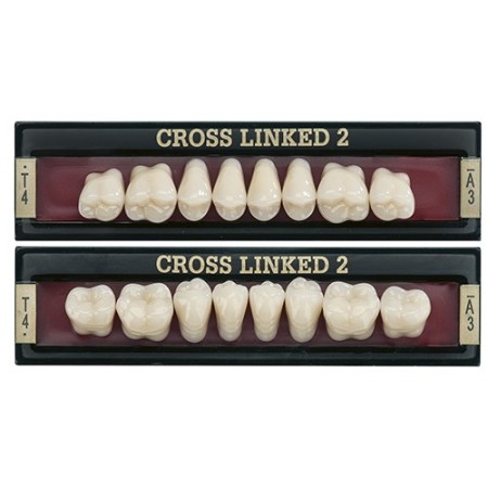 Denti Cross Linked2 posteriore inferiore Polident