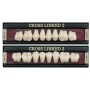 Denti Cross Linked2 posteriore inferiore Polident