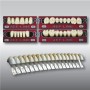 Scala Colori Denti Ref-Line - Polident