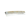 Scala Colori Denti Ref-Line - Polident