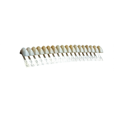 Scala Colori Denti Ref-Line - Polident