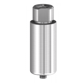 Pre-milled Abutment compatibile con Bego Semados®