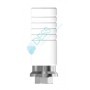 CoCr Calcinabile No Round compatibile Straumann® Tissue Level & Synocta®