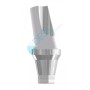 DESS Abutment compatibile con Astra Tech Osseospeed™