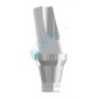 DESS Abutment compatibile con Astra Tech Osseospeed™