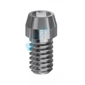 Vite Hex. 1,27 mm compatibile con Astra Tech Implant System™ EV