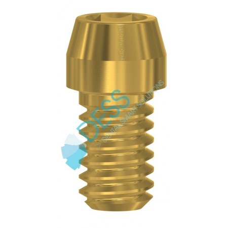 Vite Hex. 1,27 mm compatibile con Astra Tech Implant System™ EV