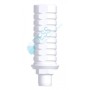 DESS Calcinabile compatibile con 3I® Certain®