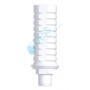 DESS Calcinabile compatibile con 3I® Certain®