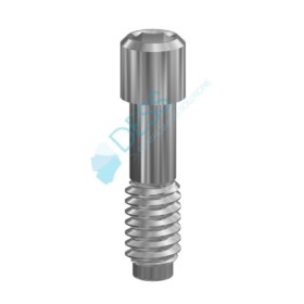 Vite  Hex. 1,20 mm compatibile con  Megagen AnyRidge®